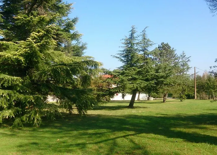 فندق مبيت وإفطار Le Pontet